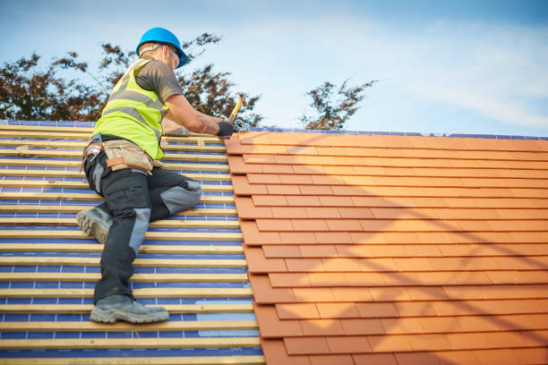 Best Roof Insulation Installation  in Troy, MI